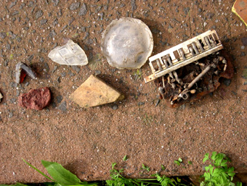 photo of things collected from creek area