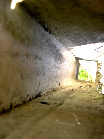 inside of concrete form