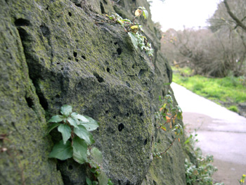 photo of stone wall