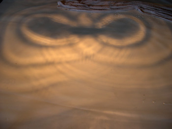 photo of ripple image